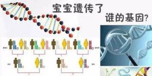 夫妻谁的基因决定了孩子智商和相貌？太准了