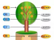 人民日报：教育改革要从家长教育开始！强烈推荐！